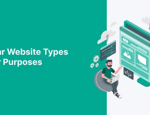 12 Popular Website Types and Their Purposes