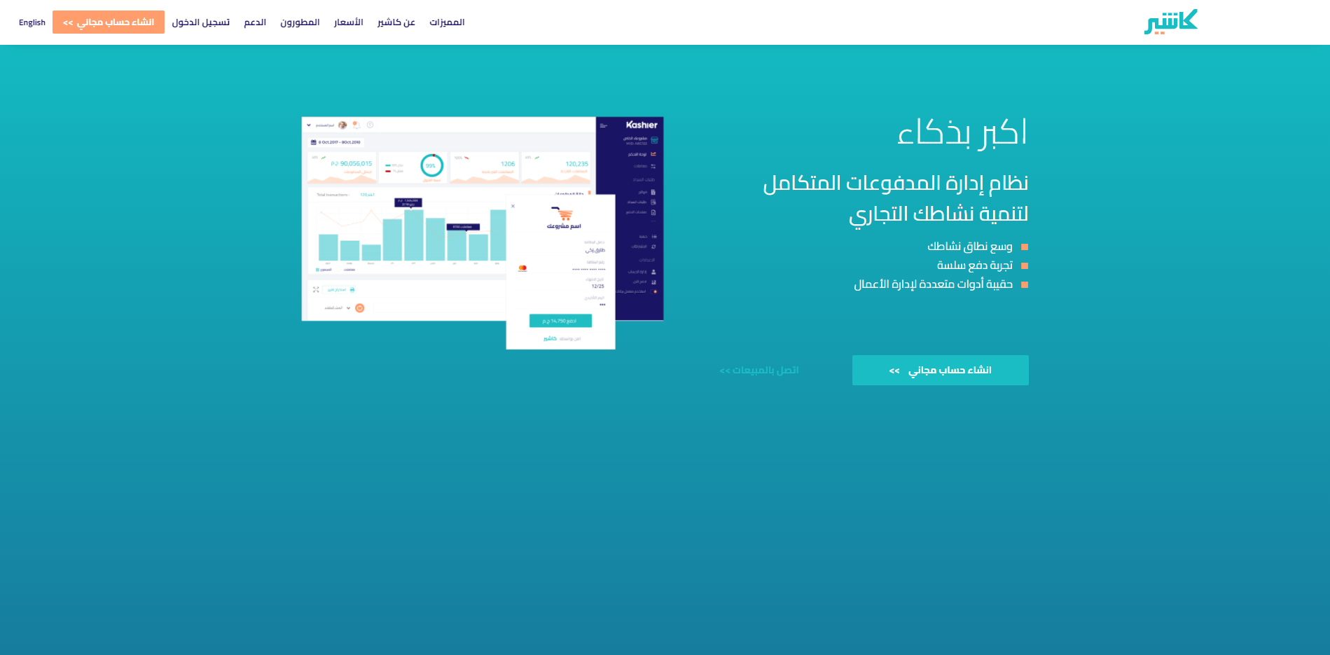 شركات الدفع الالكتروني في مصر
